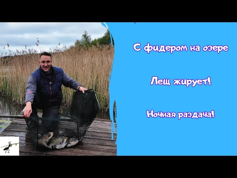 Видео: Рыбалка на фидер на озере. ЛЕЩ ЖИРУЕТ! Ночная РАЗДАЧА в ненастье!