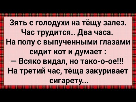 Видео: Как Зять с Голодухи с Тещей Лёг! Сборник Свежих Анекдотов! Юмор!