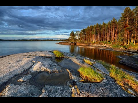 Видео: Что такое оферта на примере паспорта и формы 1П. ЗЕН. Разбираемся, понимаем. 04.06.2024