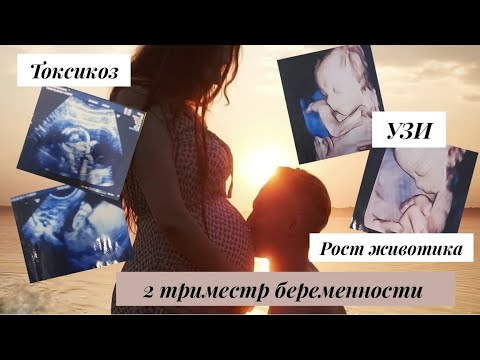 Видео: Моя история беременности❤️| 2 триместр 1 часть| 3D УЗИ | Как рос животик| Токсикоз| Снова в больнице