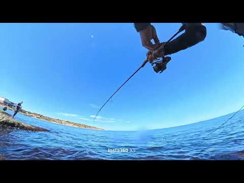 Видео: Риболов на зарган от брега на Черно море