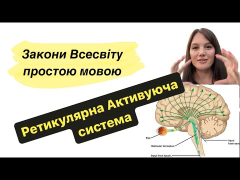 Видео: Ретикулярна активуюча система. Секрети мільйонерів.