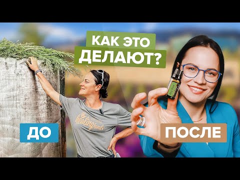 Видео: Как создаются эфирные масла? Прогулка по заводу