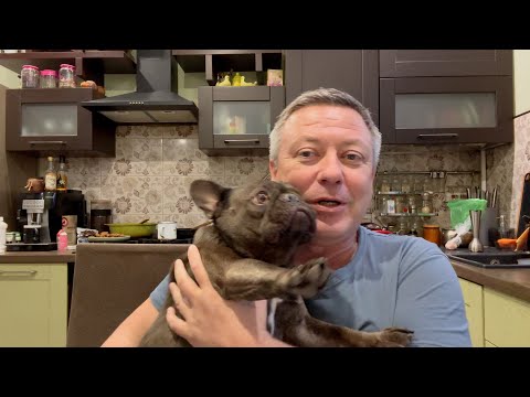 Видео: о социальном РАБОТНИКЕ для МАМЫ // она как собака на сене а я за её спиной ВТИХУЮ шевелюсь
