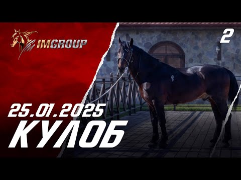 Видео: Бузкаши ш.КУЛОБ 25.01.2025 (Кисми 2)