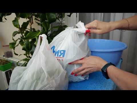 Видео: ДОБЫЧА 😆 Жара Холод Что так влияет на орхидеи Перестала использовать ЧИСТУЮ воду 😃 Долго издевалась