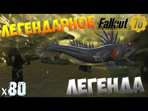 Видео: Fallout 76 - Легендарное брюхо х80