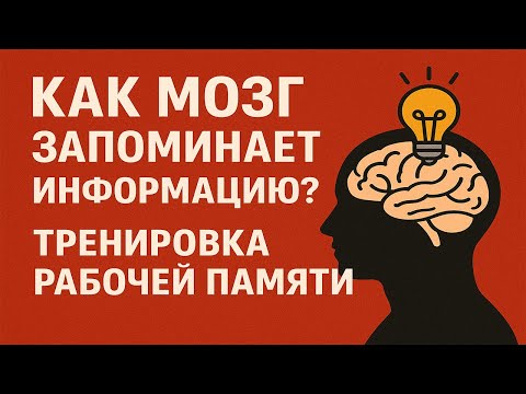 Видео: Как РАБОЧАЯ ПАМЯТЬ меняет вашу жизнь? | Простые Лайфхаки для Мозга 💡 🧠 🔥
