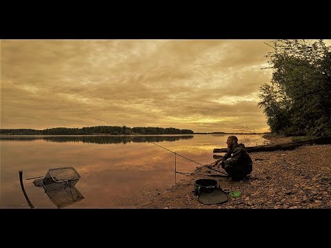 Видео: Рыбалка с Ночёвкой. Как в Старые Добрые Времена.КЛЁВ как На Чёрных Камнях.Фидер.