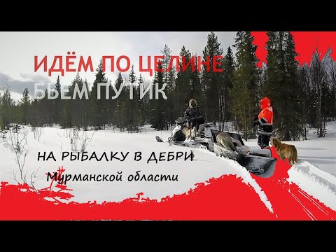 Видео: ИДЁМ ЗА ХАРИУСОМ | ДОРОГИ НЕТ. Целина в горных тундрах Ч.1