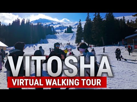 Видео: Aleko Ski, Витоша Виртуальная Прогулка 4K 60 HDR