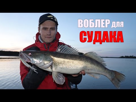 Видео: РЫБАЛКА без СНА на СУДАКА!!! ЗДОРОВЫЕ СУДАКИ клюют от ЗАКАТА до РАССВЕТА на Спиннинг!