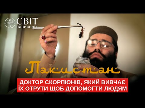 Видео: Доктор скорпионов, который изучает их яды чтобы помочь людям