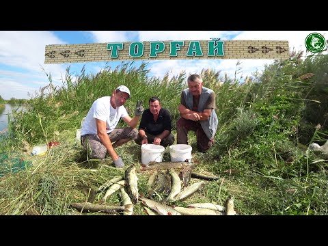 Видео: ЩУКА НА КАЖДОМ ЗАБРОСЕ! РЫБАЛКА В ТОРГАЕ, БЕШЕНЫЙ КЛЁВ  ПЕРЕД ОТЪЕЗДОМ, ПОЛНЫЙ ОТРЫВ ПО ЗУБАСТОЙ!