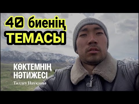 Видео: Сол баяғы 40 биенің ТЕМАСЫ!  Мотамен жылқы айдау.