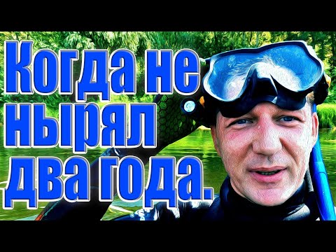 Видео: Когда не нырял два года. Как надуть гермомешок. Пол карася. Жара. Про буй. Подводная охота.