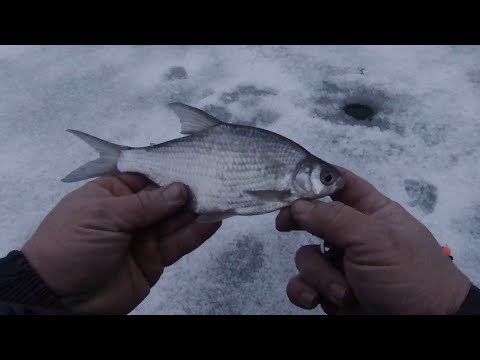 Видео: ЗИМНЯЯ РЫБАЛКА НА РЕКЕ ХОПЁР.Помутнела вода.Съёмка на подлёдную камеру.