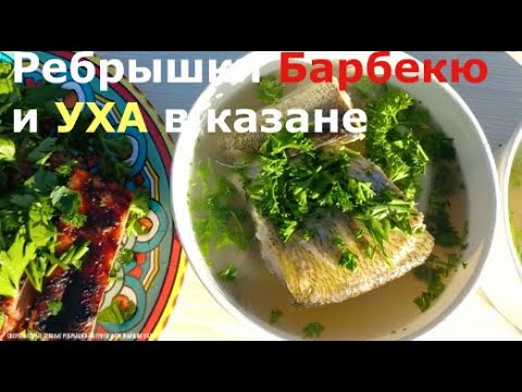 Видео: УХА, КВАДРИК, БАРБЕКЮ. В гостях у друзей !