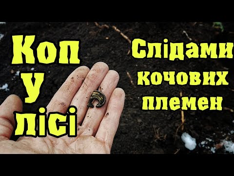 Видео: Коп у лісі Слідами кочових племен з Кощей Х45