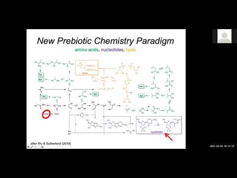 Видео: Звезди, планети и живот: лабораторни експерименти | Проф. Димитър Съсълов