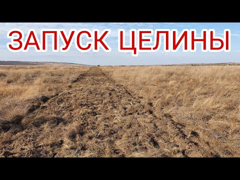 Видео: Целина.Дискование.Это не ноу-тилл. Почему...