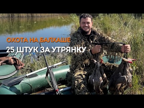 Видео: Супер охота на утку | Балхаш 2025 | Открытие сезона