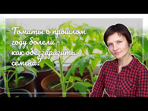 Видео: Обеззараживание семян перед посевом различными способами - советы фермера