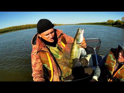 Видео: Рыбалка!Троллинг!Иртыш !26 09 20
