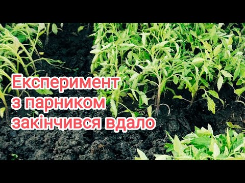 Видео: Що буде, якщо не відкрити парник з агроволокна вдень?