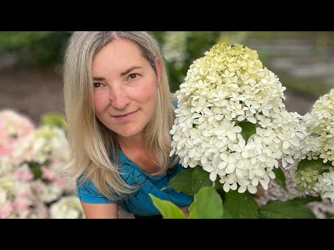 Видео: Клубника, редиска, прополка, гортензии 💚