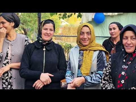 Видео: 31 октября 2025 г.