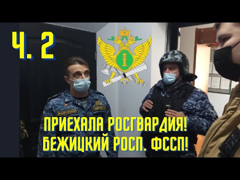 Видео: Росгвардия ставит приставов на место! Бежицкий РОСП. ФССП.