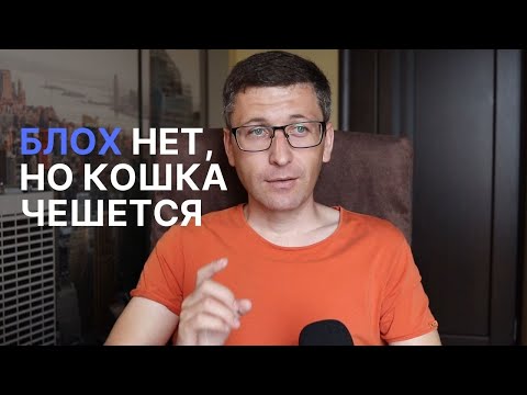 Видео: Как лечить блошиный дерматит у кошки?