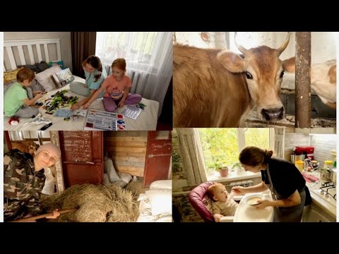 Видео: ОЧЕНЬ НЕОЖИДАННО НА НОЧЬ ГЛЯДЯ...🙈🤱🌱🐄🐖🧘❤️🐓