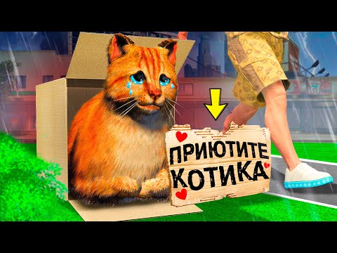 Видео: ЭТОГО КОТЁНКА НИКТО НЕ ХОЧЕТ ПРИЮТИТЬ В ГТА 5 ! Я СТАЛ КОТОМ НА 24 ЧАСА В GTA 5