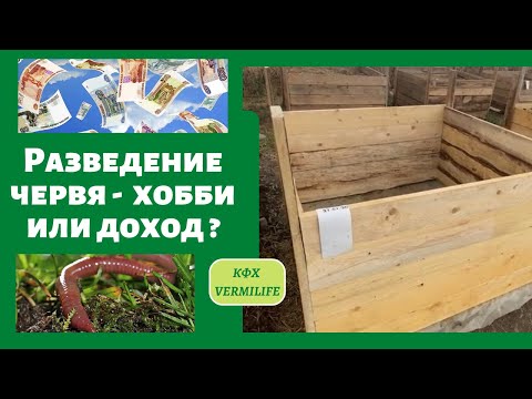 Видео: Разведение червя  - хобби или доход. Простое решение утилизации отходов червём и получение доходов.