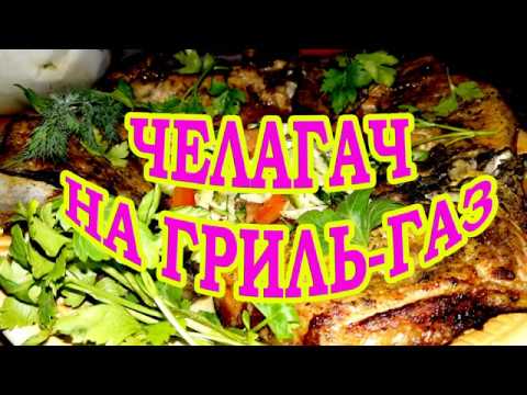 Видео: Челагач на сковороде гриль-газ. Вкусные и полезные рецепты