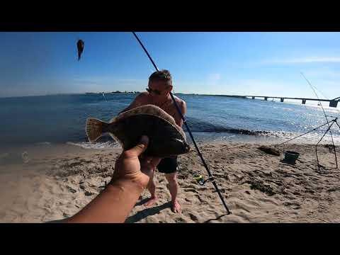 Видео: Морская рыбалка!!! Ловим камбалу!!!