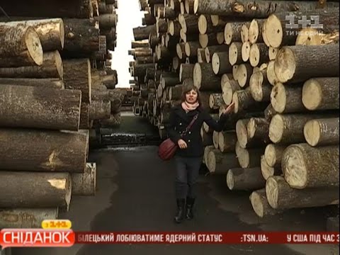 Видео: Мій путівник: Рівненщина. Сюжет другий