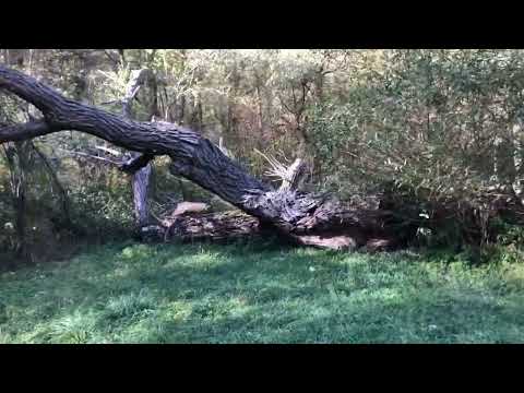 Видео: Разходка до манастир св. Павел и Петър. Пасарел.