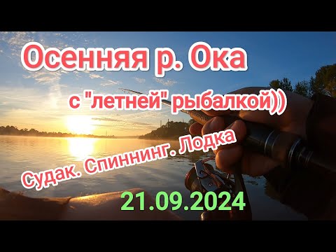 Видео: "Летняя" рыбалка на р. Ока. Активный хищник. Осень наступает!!!