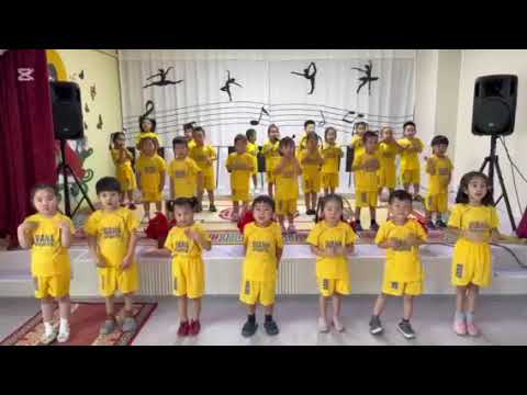 Видео: Би хэлнэ