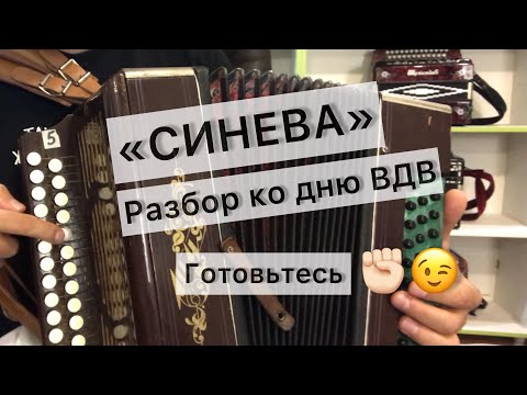 Видео: СИНЕВА разбор на гармони. АККОРДАМИ и МЕЛОДИЕЙ. Сыграет любой начинающий 😉✌️