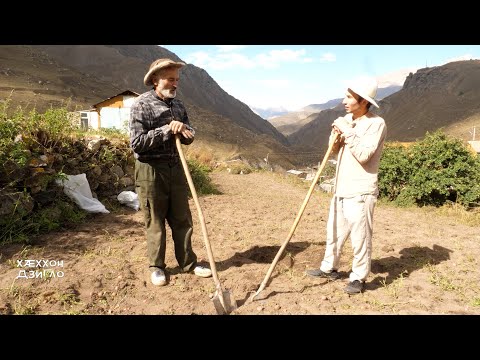 Видео: Зæххы куыст I Хæххон дзигло