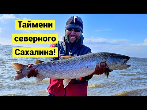 Видео: Таймени северного Сахалина