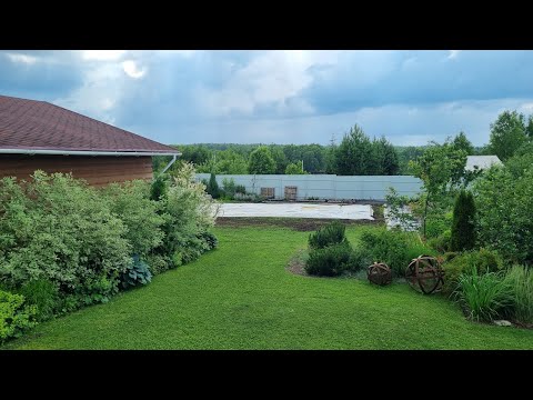 Видео: НОВЫЙ ПРОЕКТ: ОЗЕЛЕНЕНИЕ с нуля. Часть 1.