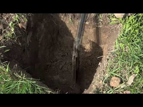 Видео: №423 - Еще раз про дренаж. Осенняя посадка смородины.