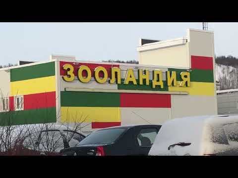 Видео: Этюды с Мурманских улиц / ФИНАЛ / От мордобойки до бани в 4К