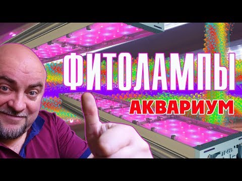 Видео: Фитолампы для аквариума