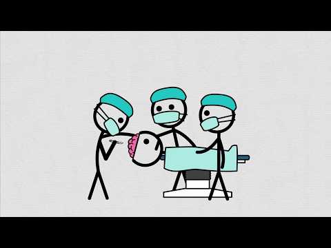 Видео: Ваша тема